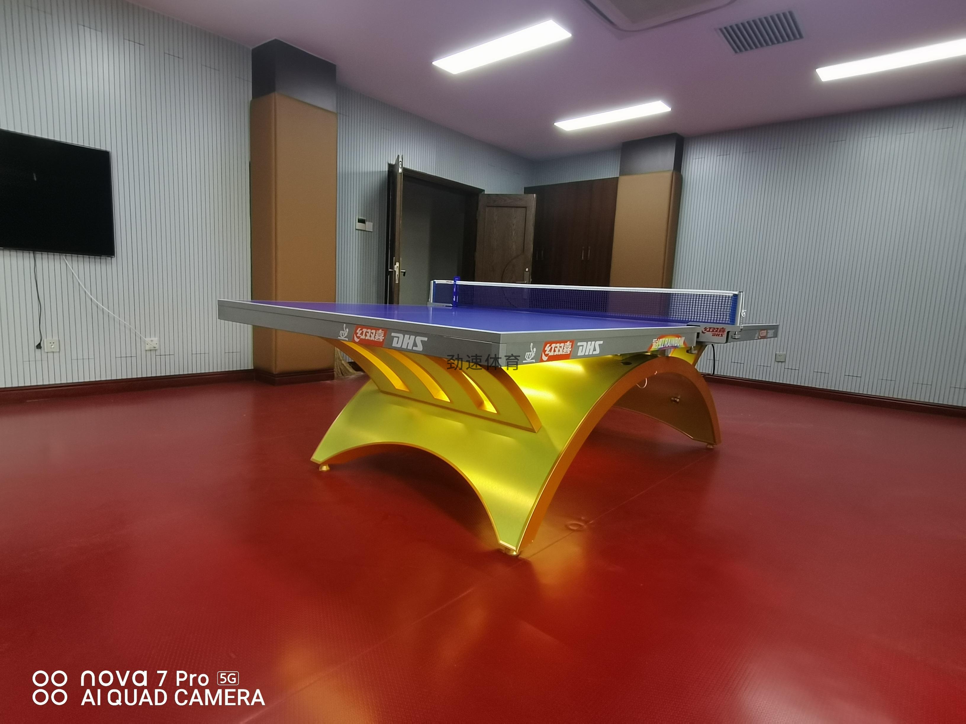 體育器材，紅雙喜乒乓球臺